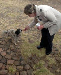 Everyone was well fed, and here we see the Centre Director, Mrs Gloria Morgan, giving a tidbit to a stray dog.